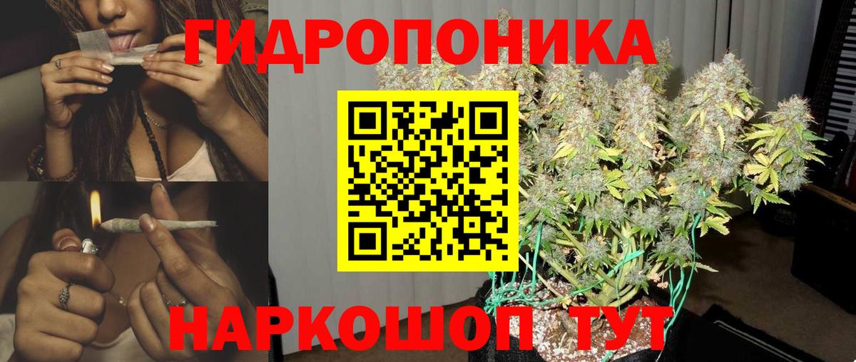 Шишки марихуана OG Kush  Вход с VPN  Сокол  Шишки марихуана AK-47 